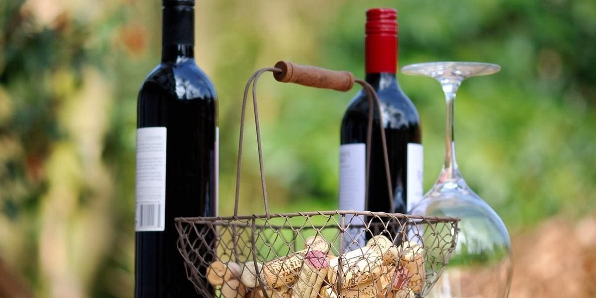 Vin savant ou comment briller en société : du service à la dégustation d'un vin