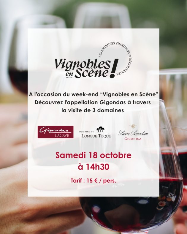 Vignobles en scène 2025 – format instagram