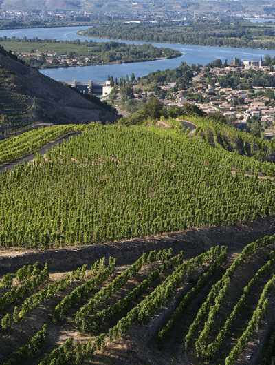 Terroir de Saint-Joseph le long du Rhône