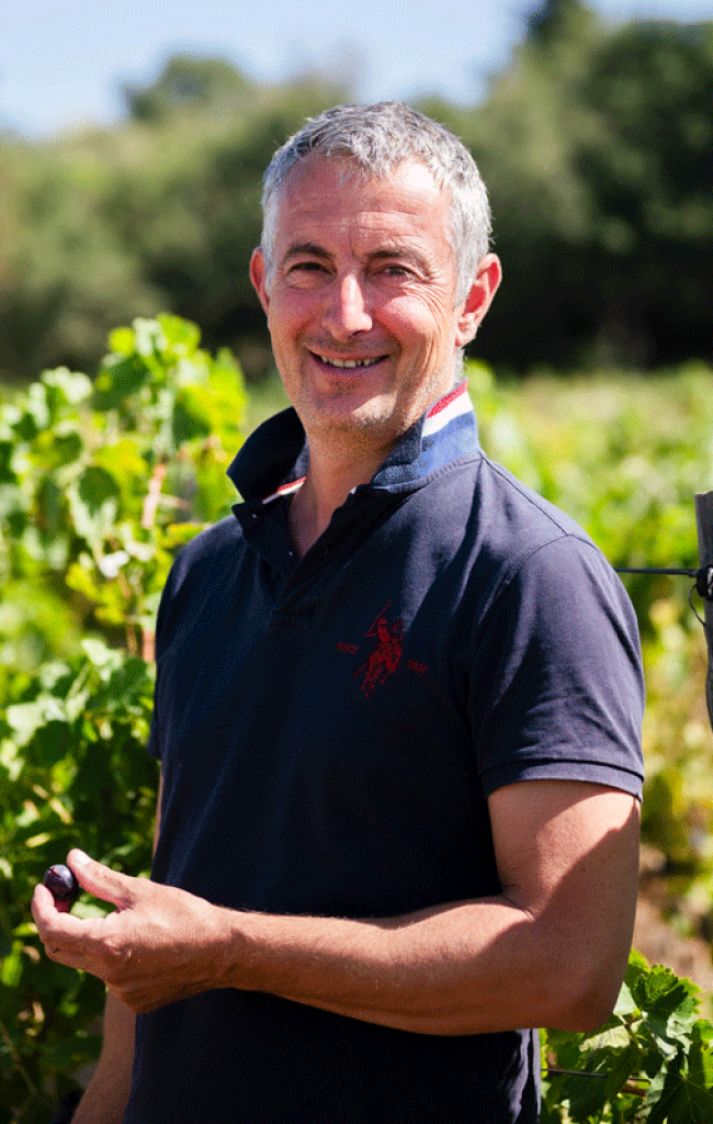 Nicolas Speranza - responsable du vignoble
